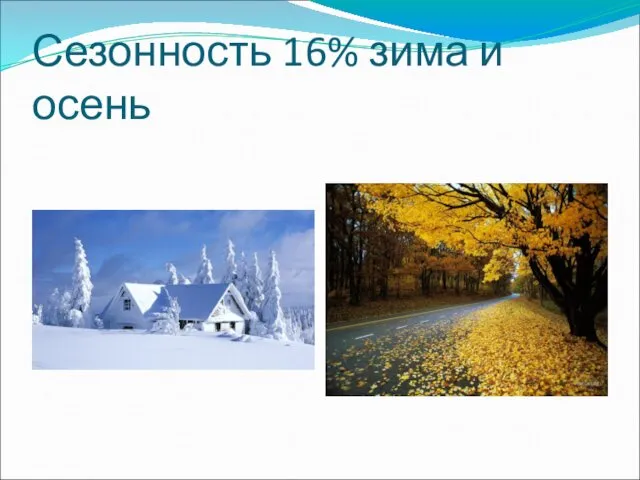 Сезонность 16% зима и осень