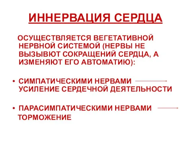 ИННЕРВАЦИЯ СЕРДЦА ОСУЩЕСТВЛЯЕТСЯ ВЕГЕТАТИВНОЙ НЕРВНОЙ СИСТЕМОЙ (НЕРВЫ НЕ ВЫЗЫВЮТ СОКРАЩЕНИЙ СЕРДЦА,