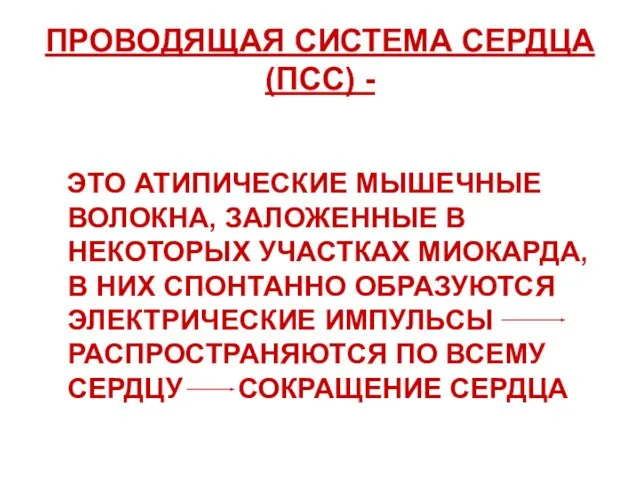 ПРОВОДЯЩАЯ СИСТЕМА СЕРДЦА (ПСС) - ЭТО АТИПИЧЕСКИЕ МЫШЕЧНЫЕ ВОЛОКНА, ЗАЛОЖЕННЫЕ В