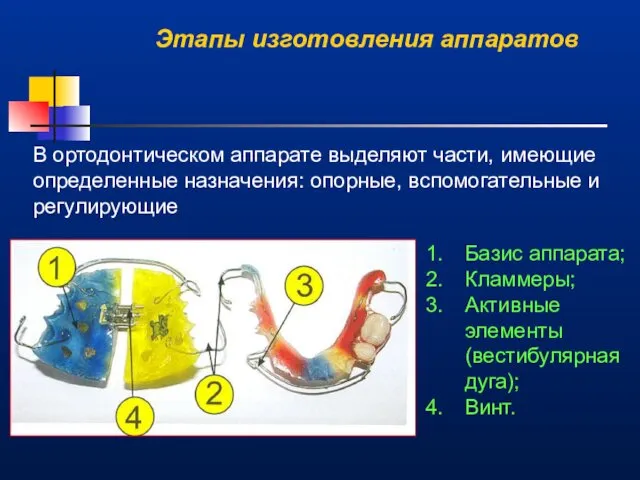 В ортодонтическом аппарате выделяют части, имеющие определенные назначения: опорные, вспомогательные и