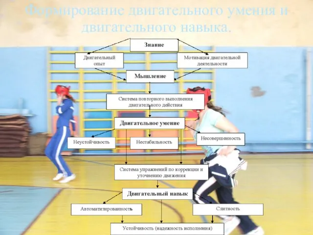 Формирование двигательного умения и двигательного навыка.