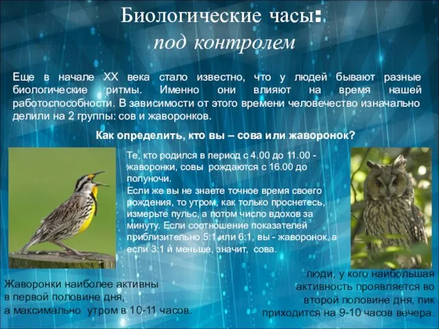 Биологические часы: под контролем Еще в начале XX века стало известно,