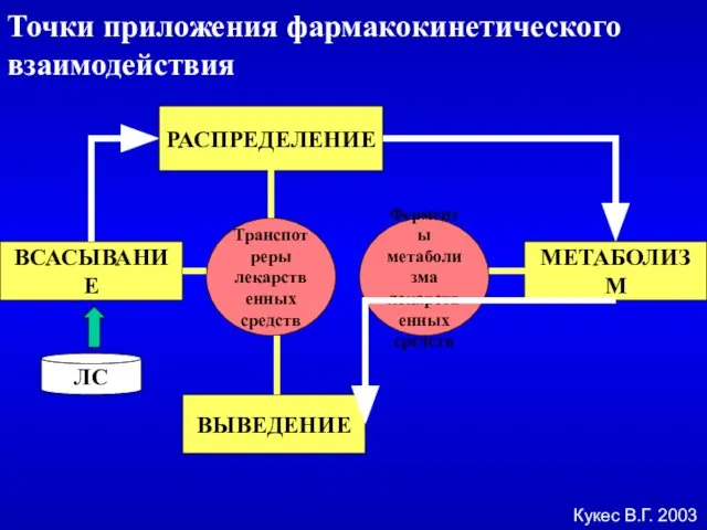 ВСАСЫВАНИЕ РАСПРЕДЕЛЕНИЕ МЕТАБОЛИЗМ ВЫВЕДЕНИЕ Транспотреры лекарственных средств Ферменты метаболизма лекарственных средств