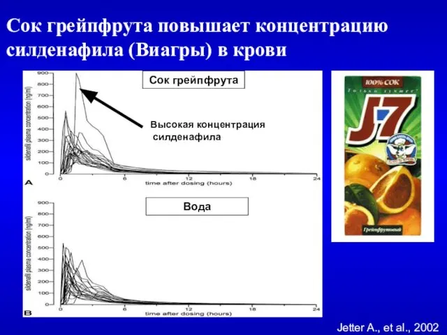 Сок грейпфрута повышает концентрацию силденафила (Виагры) в крови Jetter A., et