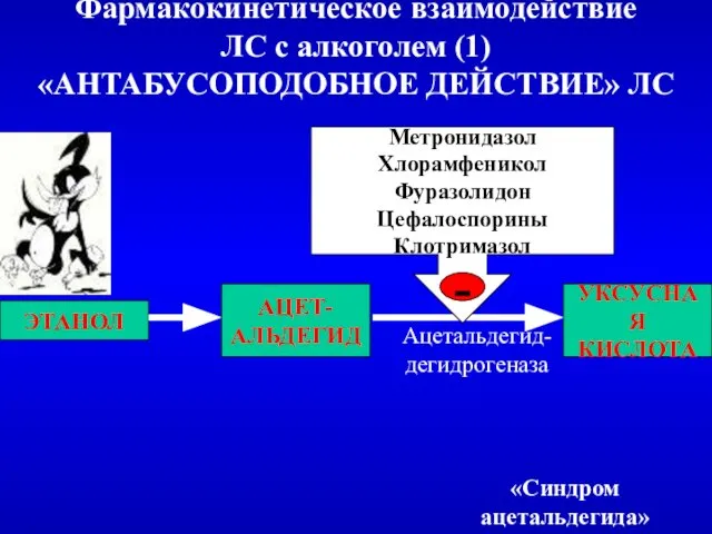 Фармакокинетическое взаимодействие ЛС с алкоголем (1) «АНТАБУСОПОДОБНОЕ ДЕЙСТВИЕ» ЛС ЭТАНОЛ АЦЕТ-