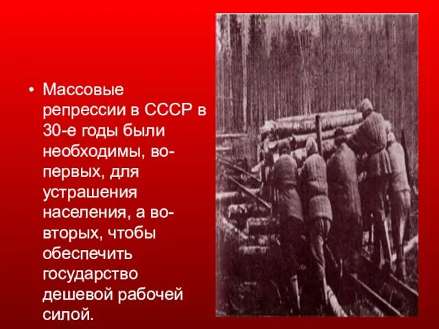 Массовые репрессии в СССР в 30-е годы были необходимы, во-первых, для