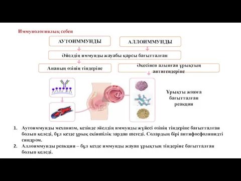 Иммунологиялық себеп Ұрықты жоюға бағытталған реакция Аутоиммунды механизм, кезінде әйелдің иммунды