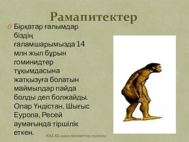 Рамапитектер Бірқатар ғалымдар біздің ғаламшарымызда 14 млн жыл бұрын гоминидтер тұқымдасына