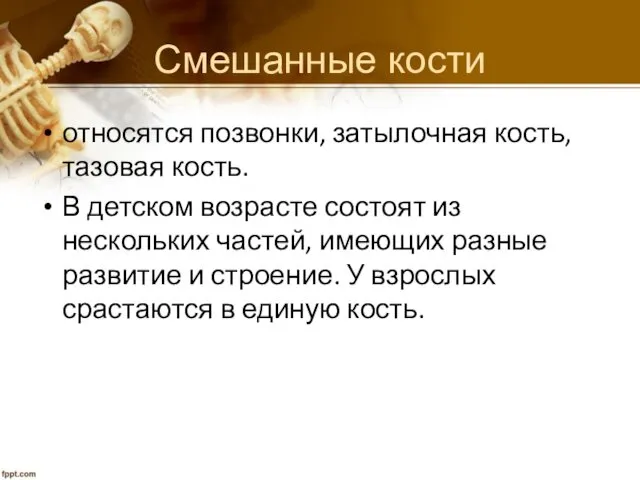 Смешанные кости относятся позвонки, затылочная кость, тазовая кость. В детском возрасте