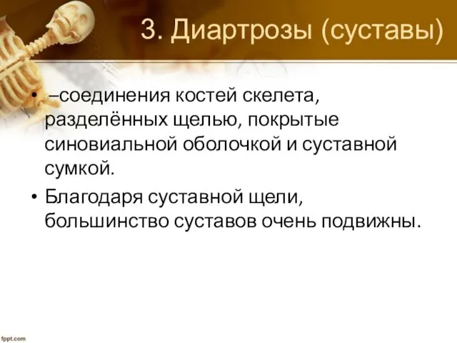 3. Диартрозы (суставы) –соединения костей скелета, разделённых щелью, покрытые синовиальной оболочкой