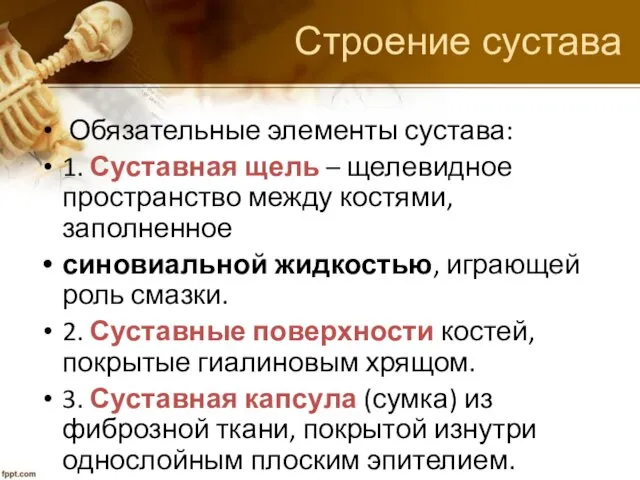 Строение сустава Обязательные элементы сустава: 1. Суставная щель – щелевидное пространство