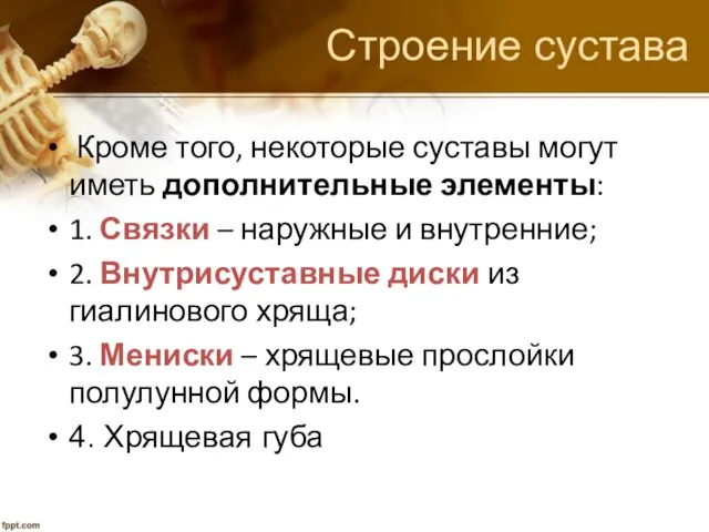 Строение сустава Кроме того, некоторые суставы могут иметь дополнительные элементы: 1.