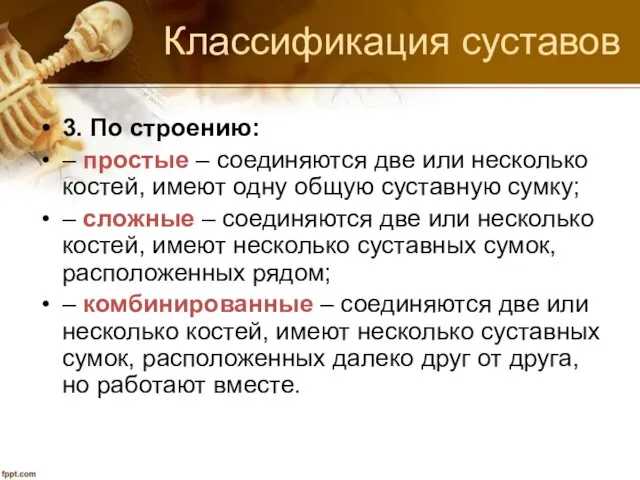 Классификация суставов 3. По строению: – простые – соединяются две или