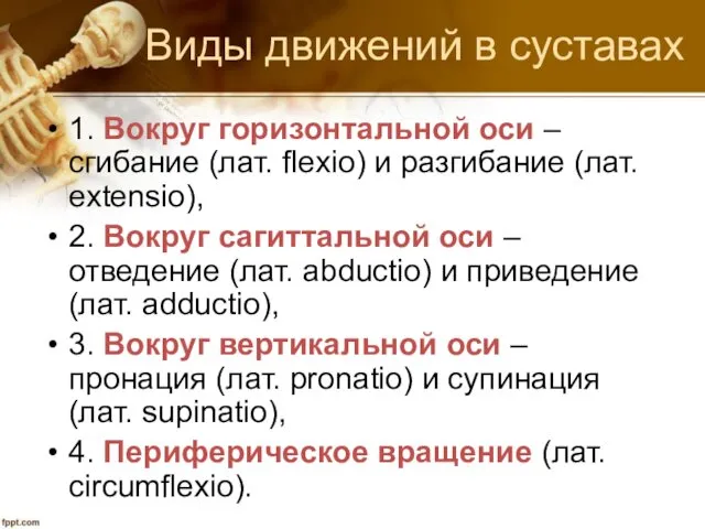 Виды движений в суставах 1. Вокруг горизонтальной оси – сгибание (лат.