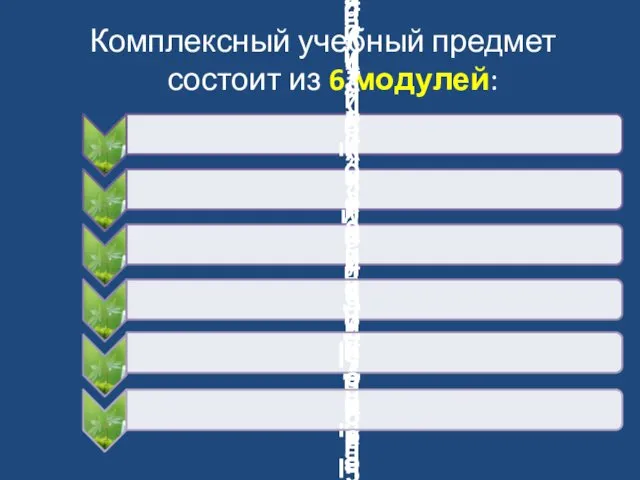 Комплексный учебный предмет состоит из 6 модулей: