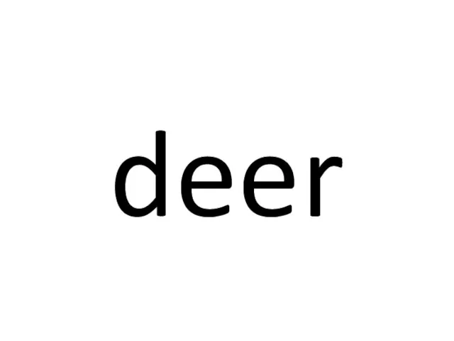 deer