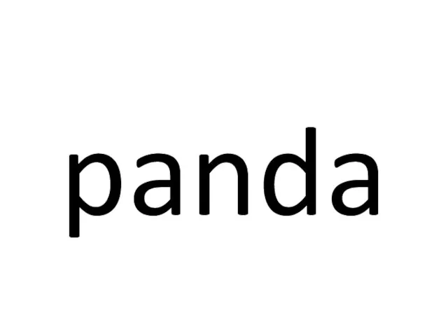 panda