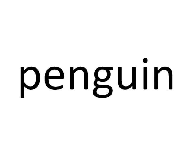 penguin