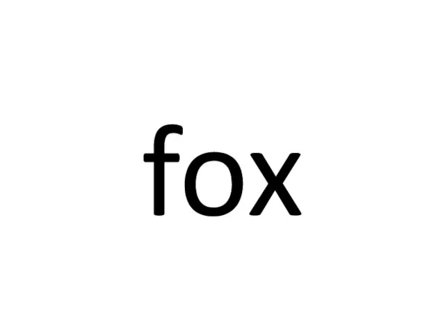 fox