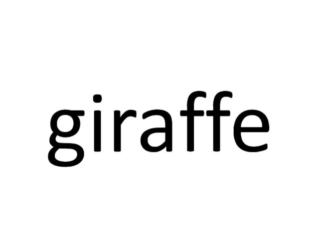 giraffe