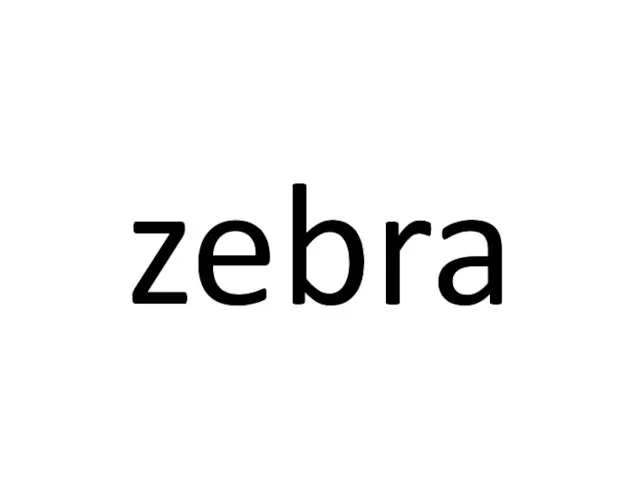 zebra