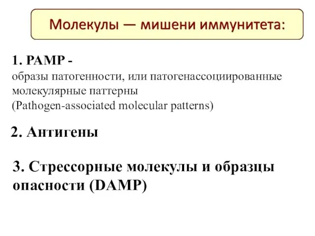 1. PAMP - образы патогенности, или патогенассоциированные молекулярные паттерны (Pathogen-associated molecular