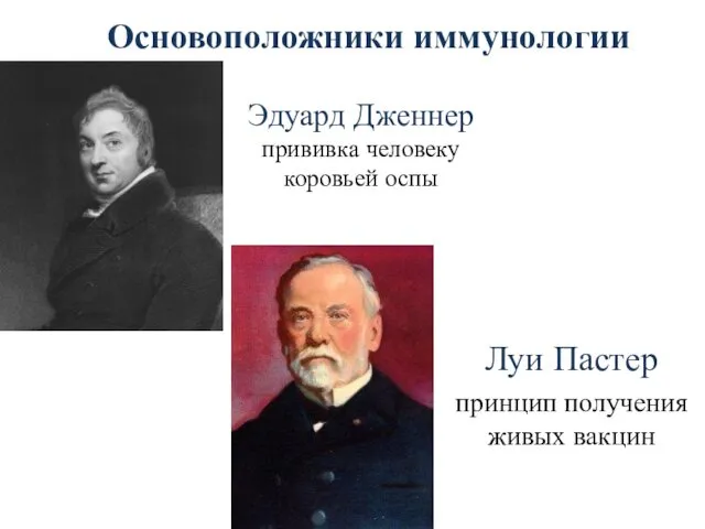 Эдуард Дженнер прививка человеку коровьей оспы Луи Пастер принцип получения живых вакцин Основоположники иммунологии