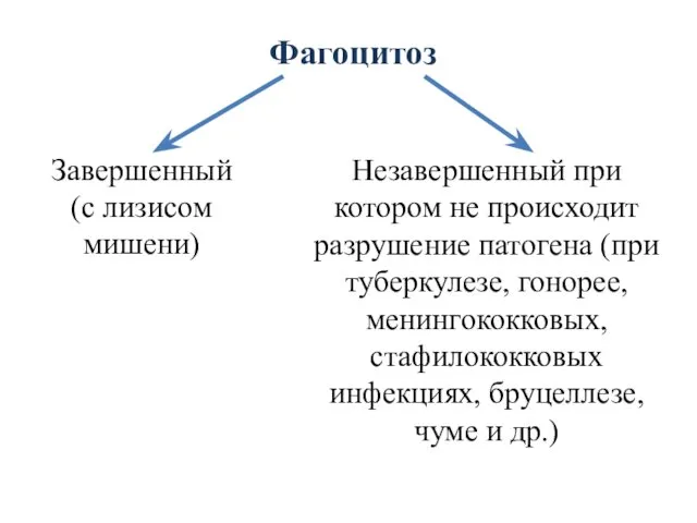 Фагоцитоз Незавершенный при котором не происходит разрушение патогена (при туберкулезе, гонорее,