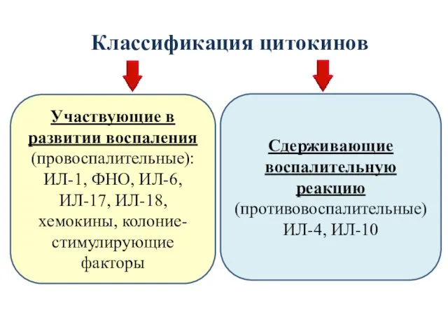 Классификация цитокинов Участвующие в развитии воспаления (провоспалительные): ИЛ-1, ФНО, ИЛ-6, ИЛ-17,