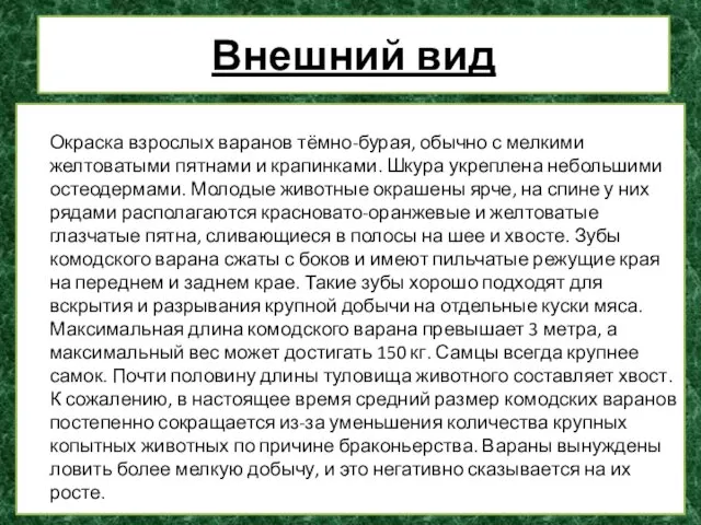 Внешний вид Окраска взрослых варанов тёмно-бурая, обычно с мелкими желтоватыми пятнами