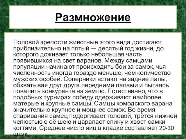 Размножение Половой зрелости животные этого вида достигают приблизительно на пятый —