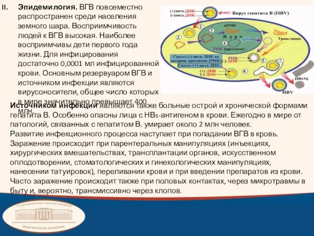 Эпидемилогия. ВГВ повсеместно распространен среди населения земного шара. Восприимчивость людей к