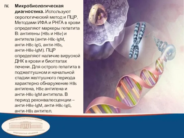 Микробиологическая диагностика. Используют серологический метод и ПЦР. Методами ИФА и РНГА