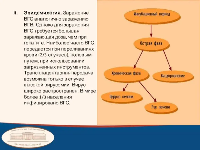 Эпидемилогия. Заражение ВГС аналогично заражению ВГВ. Однако для заражения ВГС требуется