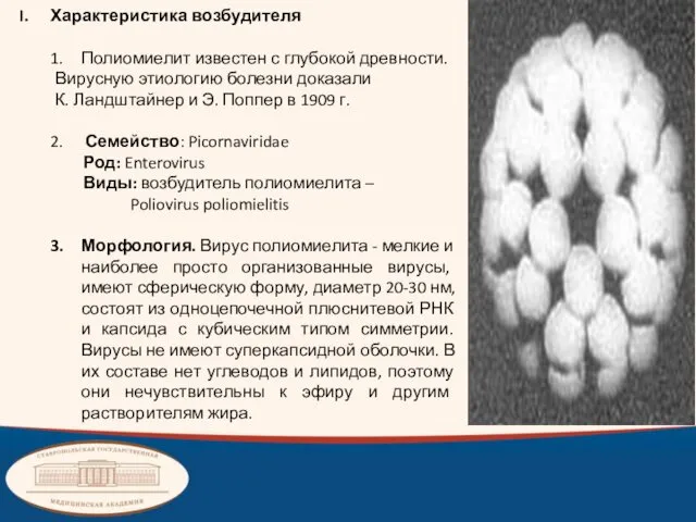 Характеристика возбудителя Полиомиелит известен с глубокой древности. Вирусную этиологию болезни доказали