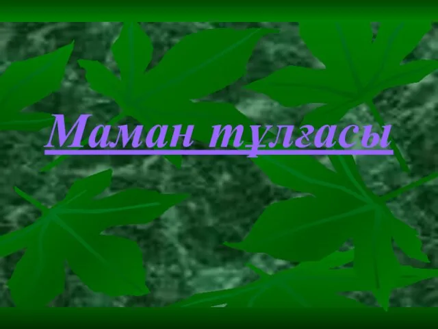 Маман тұлғасы