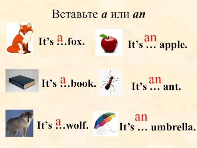 Вставьте a или an It’s …book. It’s … ant. It’s …fox.