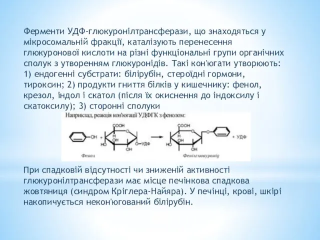 Ферменти УДФ-глюкуронілтрансферази, що знаходяться у мікросомальній фракції, каталізують перенесення глюкуронової кислоти