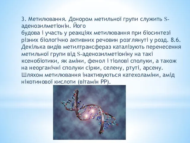 3. Метилювання. Донором метильної групи служить S-аденозилметіонін. Його будова і участь