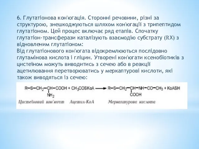 6. Глутатіонова кон'югація. Сторонні речовини, різні за структурою, знешкоджуються шляхом кон'югації