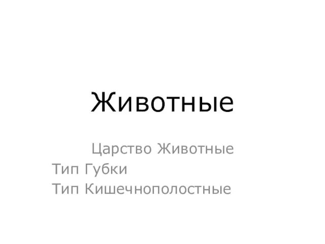 Царство Животные. Тип Губки. Тип Кишечнополостные