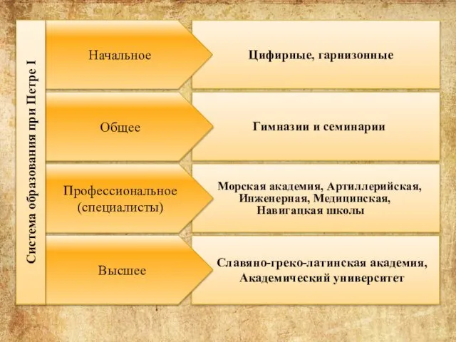 Славяно-греко-латинская академия, Академический университет Морская академия, Артиллерийская, Инженерная, Медицинская, Навигацкая школы