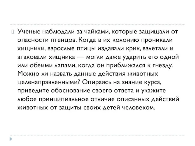 Ученые наблюдали за чайками, которые защищали от опасности птенцов. Когда в