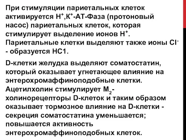 При стимуляции париетальных клеток активируется Н+,К+-АТ-Фаза (протоновый насос) париетальных клеток, которая