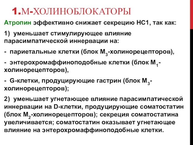 1.М-ХОЛИНОБЛОКАТОРЫ Атропин эффективно снижает секрецию НС1, так как: 1) уменьшает стимулирующее