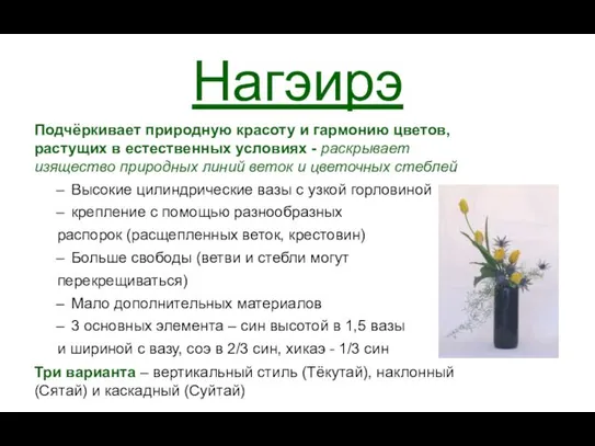 Нагэирэ Подчёркивает природную красоту и гармонию цветов, растущих в естественных условиях