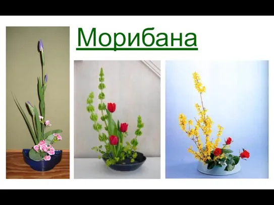 Морибана