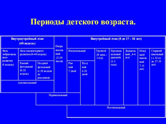 Периоды детского возраста.