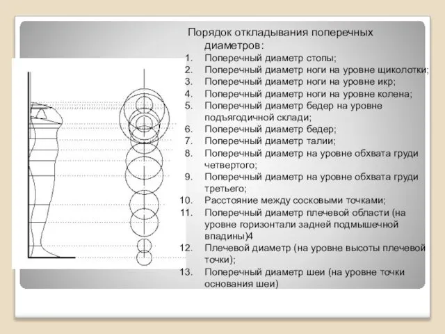 Порядок откладывания поперечных диаметров: Поперечный диаметр стопы; Поперечный диаметр ноги на