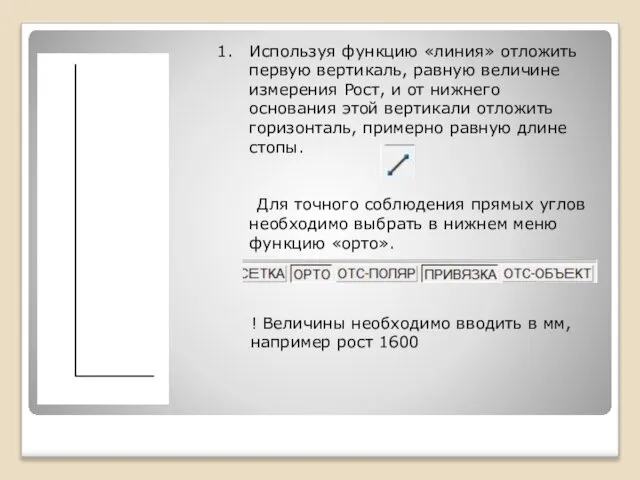 Используя функцию «линия» отложить первую вертикаль, равную величине измерения Рост, и